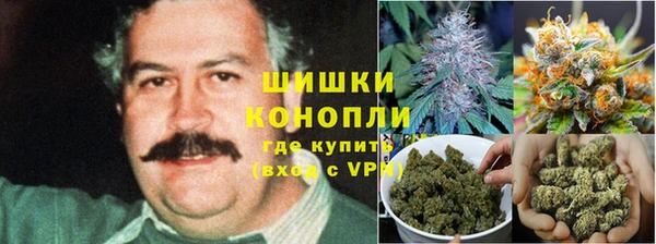 ALPHA-PVP Верея