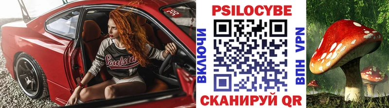 Псилоцибиновые грибы Psilocybine cubensis  Нахабино 